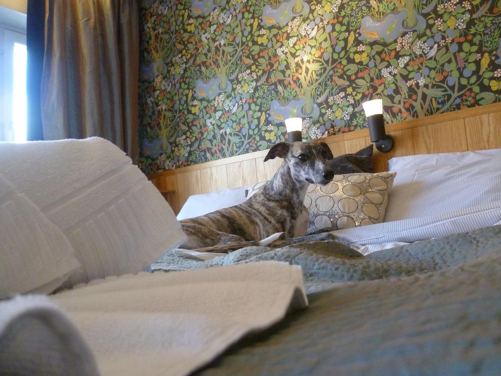 מאלונג Sankt Olof Hotell & Krog מראה חיצוני תמונה