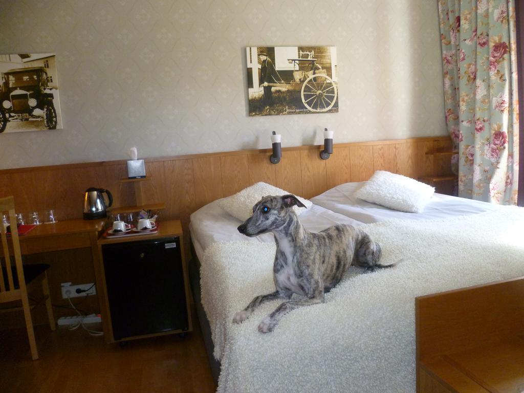 מאלונג Sankt Olof Hotell & Krog מראה חיצוני תמונה